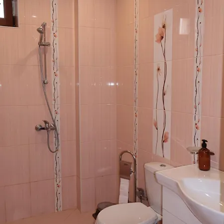 Гостевой дом Valevitsata *